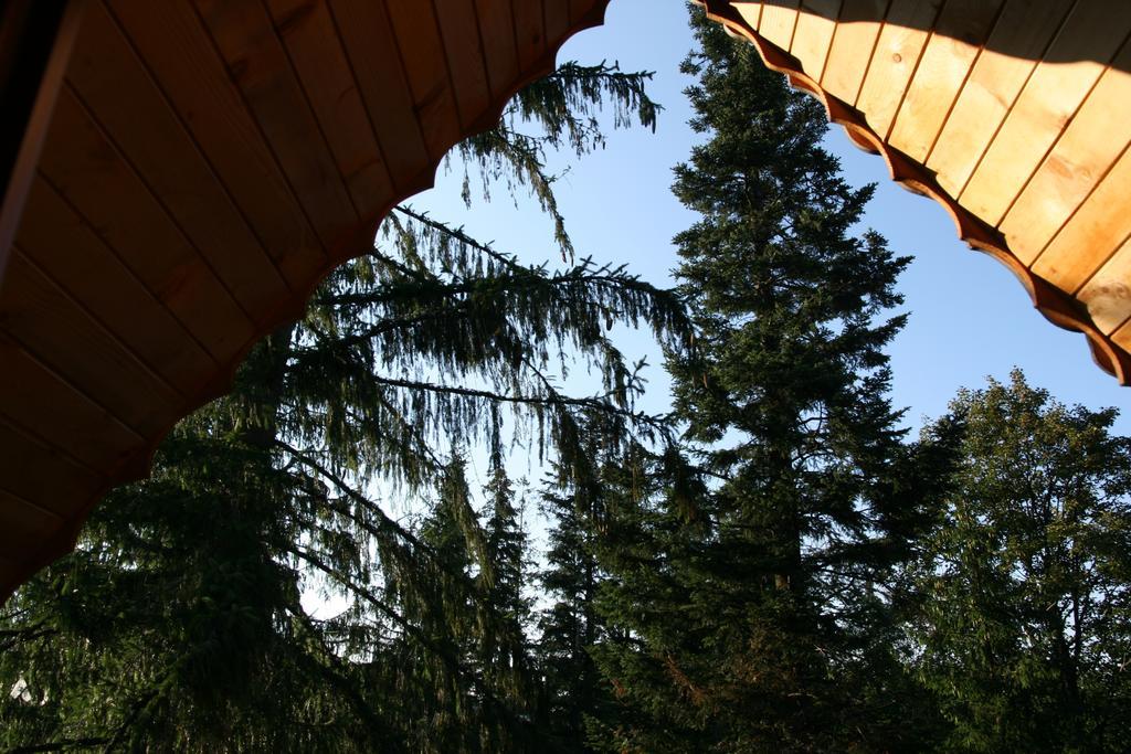 Willa Mitia Zakopane Exterior photo